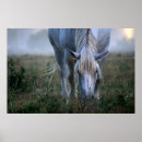 Search for selective colourization posters Landscape
