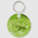Search for cricket key rings Bugs
