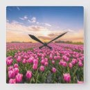 Search for tulip clocks Netherlands