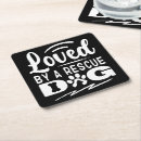 Search for adopt coasters Pet adoption
