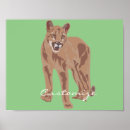 Search for puma posters Mountain lion