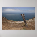 Search for santa cruz posters Pacific