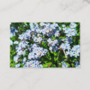 Search for forget me not business cards Flowers