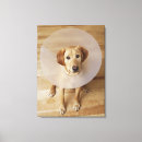 Search for neck canvas prints Vertical