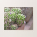 Search for pot photography Garden