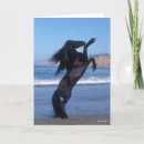 Search for friesian cards Sea