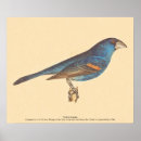 Search for kay posters Illustration