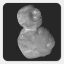 Search for kuiper belt stickers Astronomy