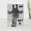 Search for funny giraffe sayings Friend