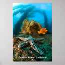Search for underwater posters Orange