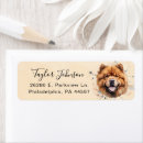 Search for chow return address labels Dog