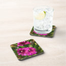 Search for dahlia flower coasters Dahlias