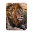 Search for reserves magnets Africa