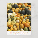 Search for pumpkin stack Orange
