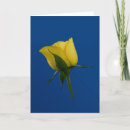 Search for rose blank cards Blue