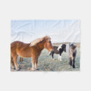 Search for icelandic horses blankets Martin zwick