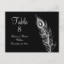 Search for black feathers postcards White