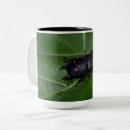 Search for beetle mugs Coleoptera