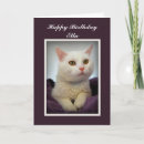 Search for white cat birthday cards Pet