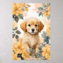 Search for golden retriever posters Cute