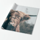 Search for highland cow wrapping paper Cattle