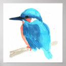 Search for kingfisher posters Watercolor