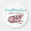 Search for shelter magnets Adopt
