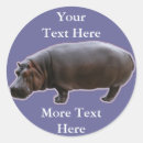 Search for horse image stickers Animal