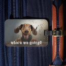 Search for pet luggage tags Animal