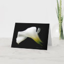 Search for classy lady birthday cards Elegant