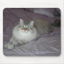 Search for siberian cat mouse mats Cats