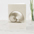 Search for nautilus cards Animal