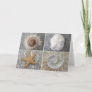 Search for florida shells cards Conch