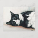 Search for black and white drawing postcards Cat
