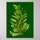 Search for fern art posters Leaf
