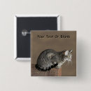 Search for grey tabby cat badges Kitty