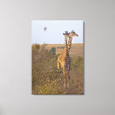 Search for camelopardalis posters Friendship