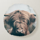 Search for cow cushions Highland cattle