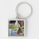 Search for focus on foreground key rings Photography