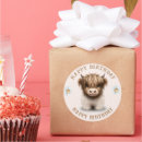 Search for scottish highlands stickers Heilan coo