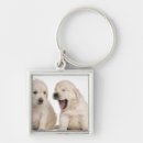 Search for puppy key rings Belgium