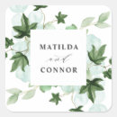 Search for ivy stickers Hedera