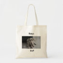 Search for storage accessories Pets
