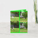 Search for fox terrier cards Dog