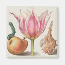 Search for botanic magnets Plants