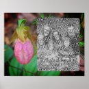 Search for slipper posters Flower