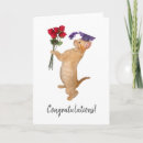 Search for orange congratulations cards Kitten
