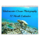 Search for photography calendars Marine