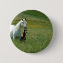 Search for maree badges Equine