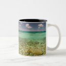 Search for turks and caicos mugs Walter bibikow